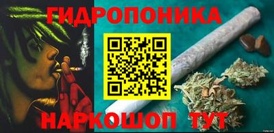 круглые Краснознаменск