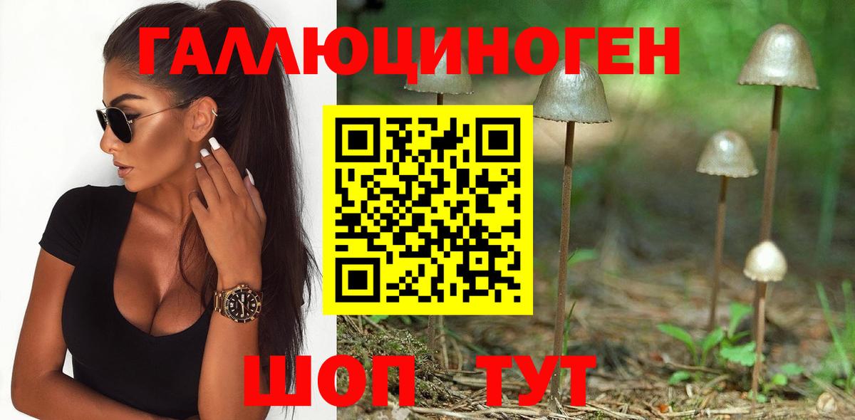 Псилоцибиновые грибы прущие грибы Камышлов