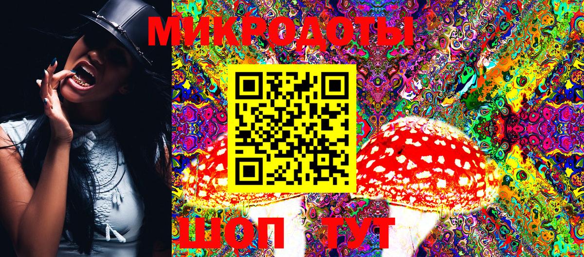 наркошоп  Псилоцибиновые грибы мицелий  Псилоцибиновые грибы Magic Shrooms  Вход с VPN  Камышлов 